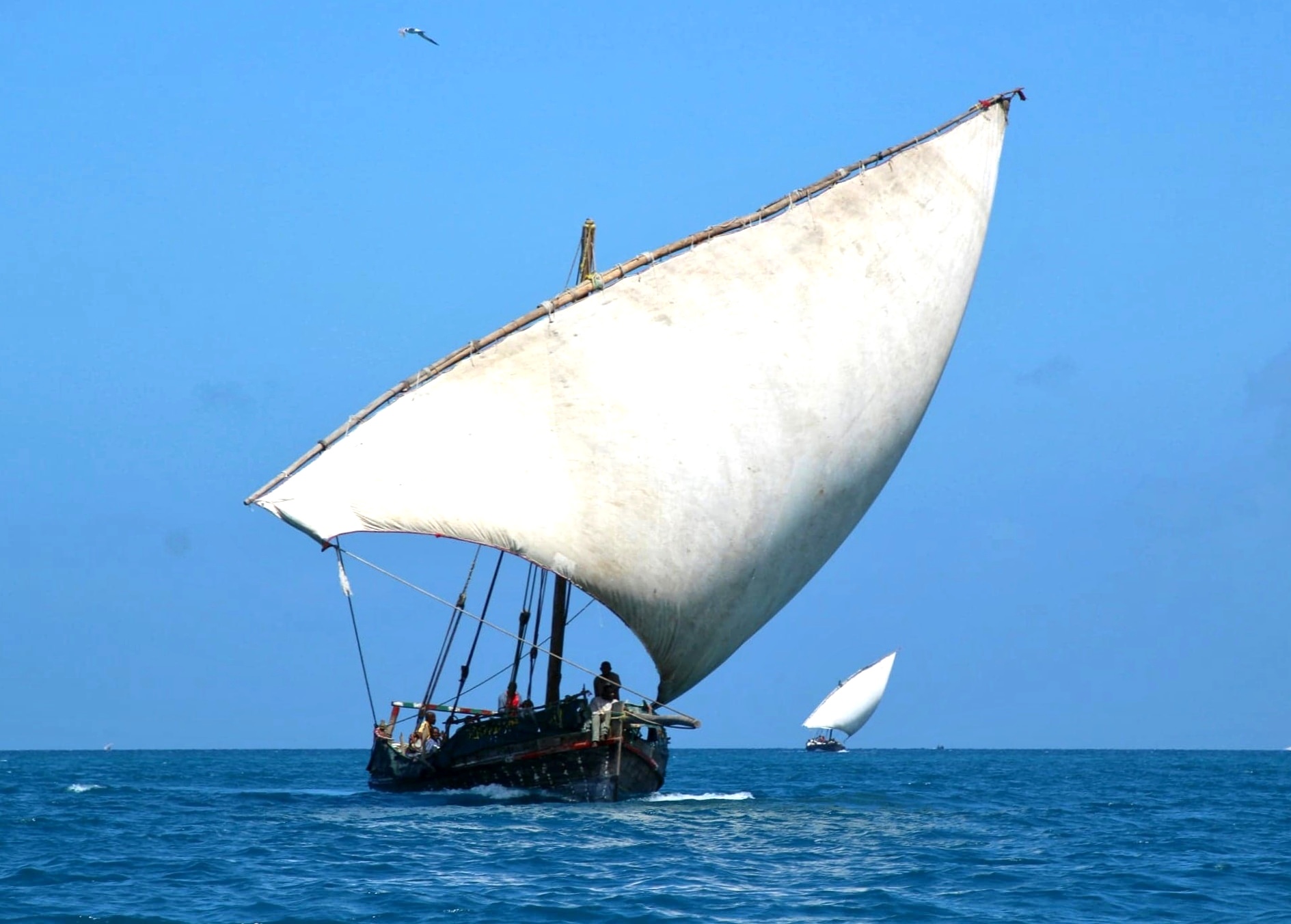 sailboat zanzibar